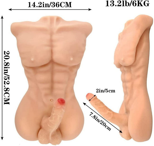 Torso Sexuel Homme